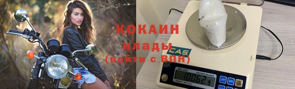 гидра Ладушкин