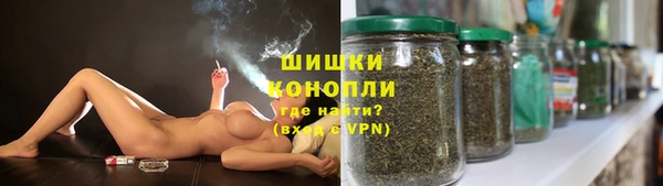 гидра Ладушкин