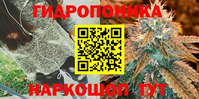 jwh Рузаевка